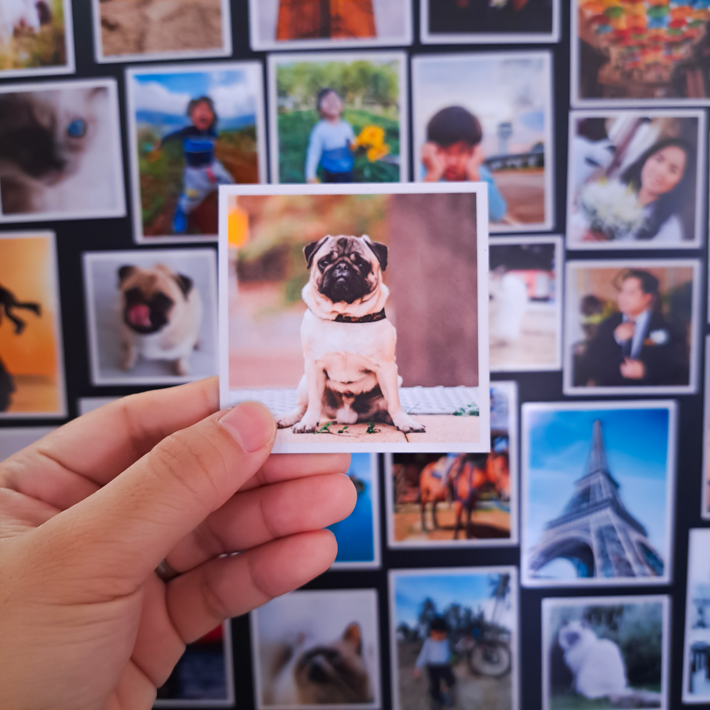 Memora Photo Magnets (Thin)